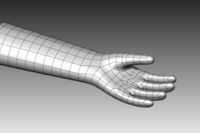 CAD-Modell von der Handschuhform